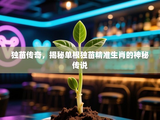 独苗传奇，揭秘单根独苗精准生肖的神秘传说