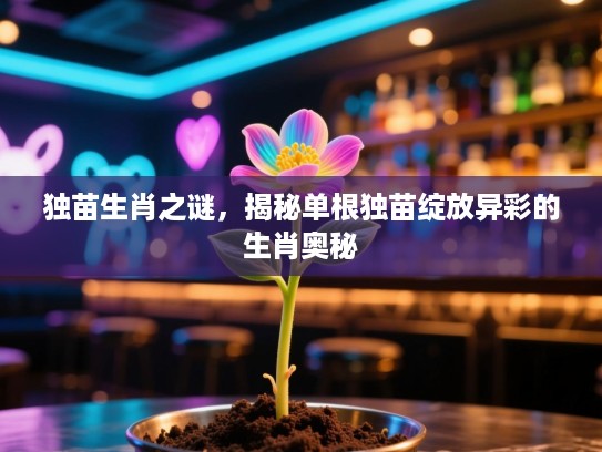 独苗生肖之谜，揭秘单根独苗绽放异彩的生肖奥秘