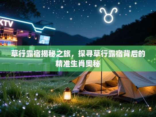 草行露宿揭秘之旅，探寻草行露宿背后的精准生肖奥秘