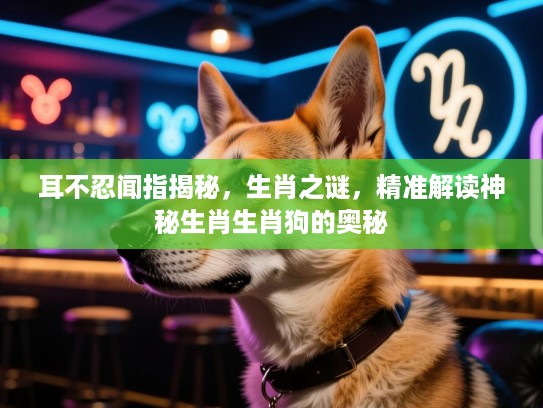 耳不忍闻指揭秘，生肖之谜，精准解读神秘生肖生肖狗的奥秘
