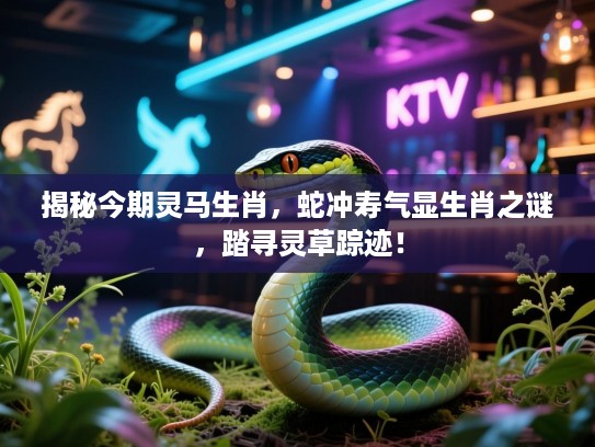 揭秘今期灵马生肖，蛇冲寿气显生肖之谜，踏寻灵草踪迹！