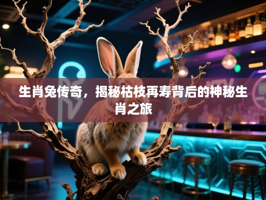生肖兔传奇，揭秘枯枝再寿背后的神秘生肖之旅