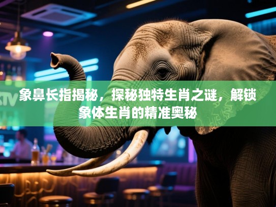 象鼻长指揭秘，探秘独特生肖之谜，解锁象体生肖的精准奥秘