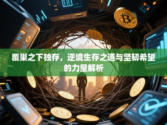 覆巢之下独存,逆境生存之道与坚韧希望的力量解析 覆巢之下独存,逆境生存之道与坚韧希望的力量解析