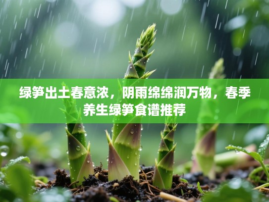 绿笋出土春意浓，阴雨绵绵润万物，春季养生绿笋食谱推荐